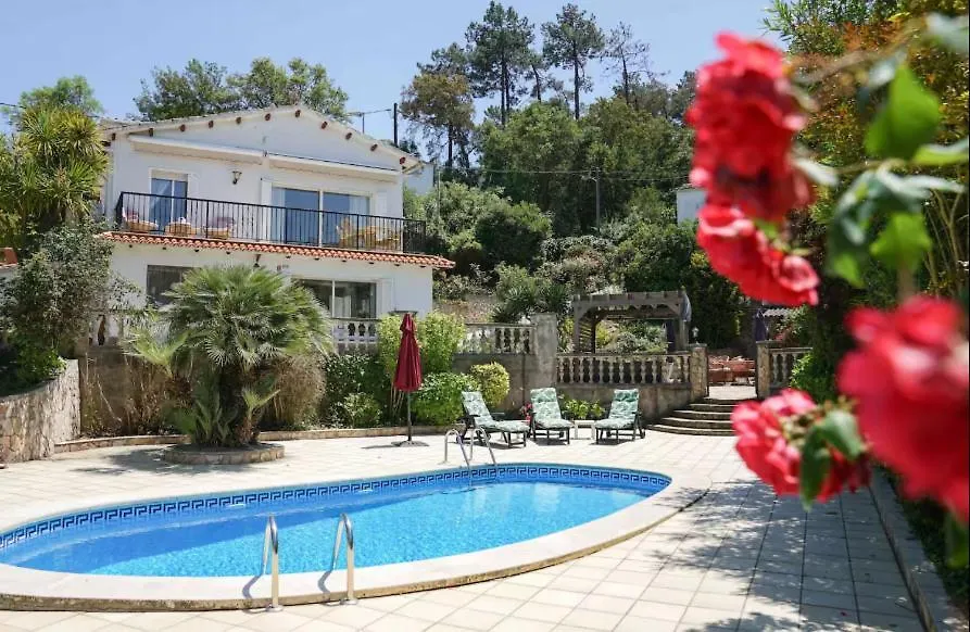 Villa Rossello, 8 Pers, Casa Familiar Con Piscina Puigventos